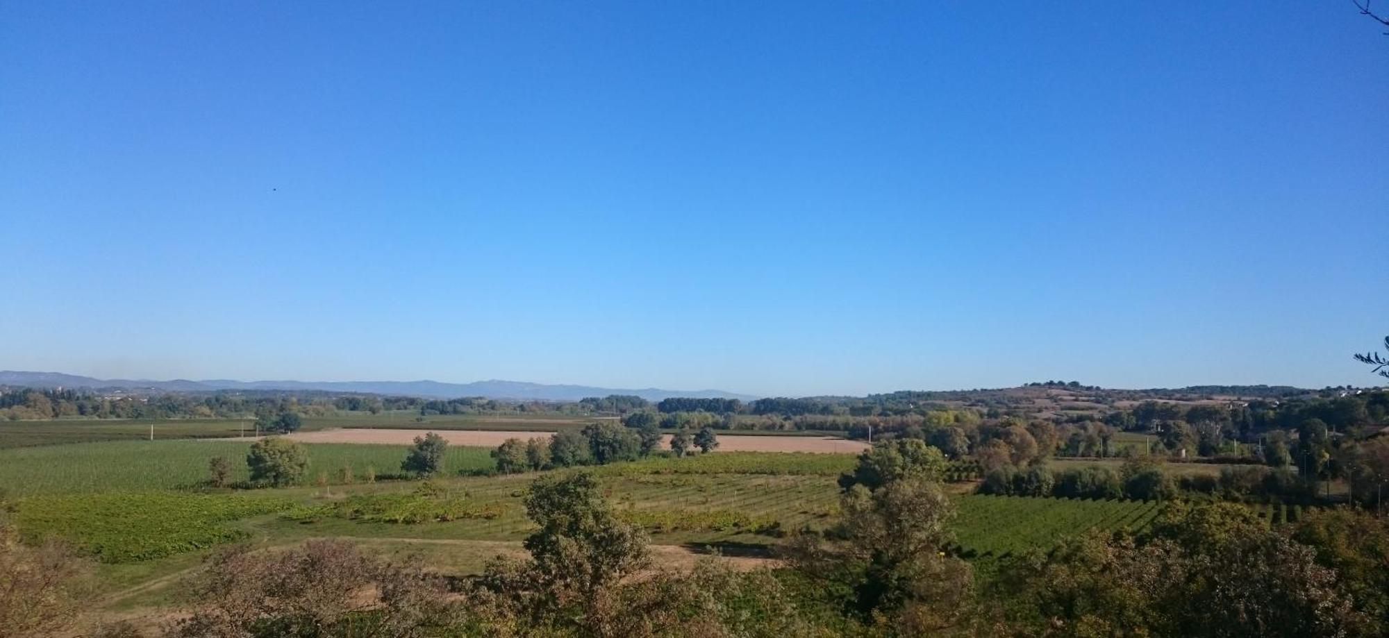 Camping Les Amandiers Castelnau-de-Guers Εξωτερικό φωτογραφία